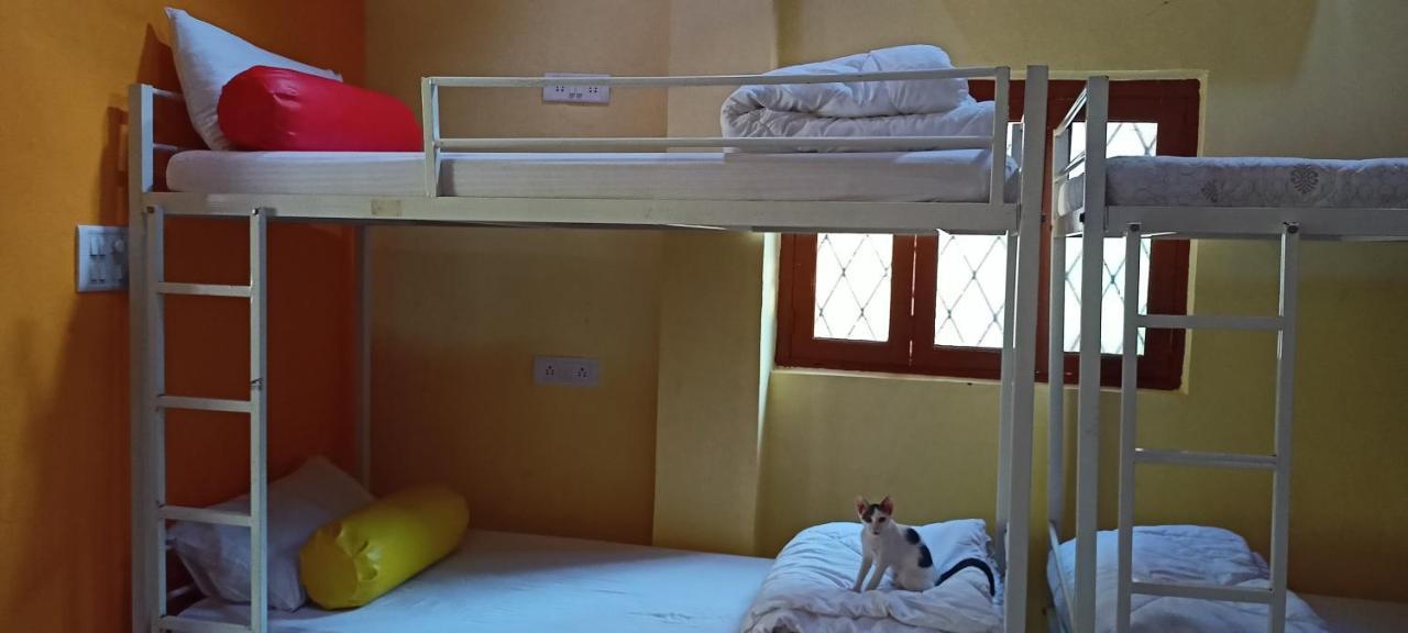 Red Monkeys Hostel 阿姆波尔 外观 照片
